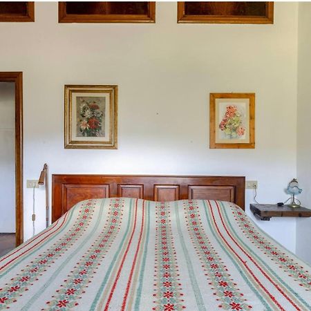 Villa Divinae Cintoia à Greve in Chianti Extérieur photo